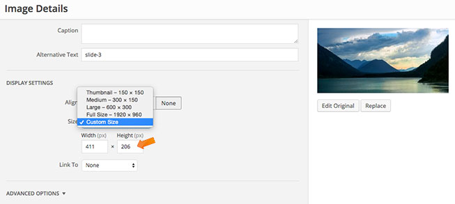 Adjust Custom Size
