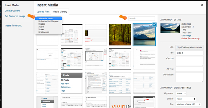 Media-Library-search