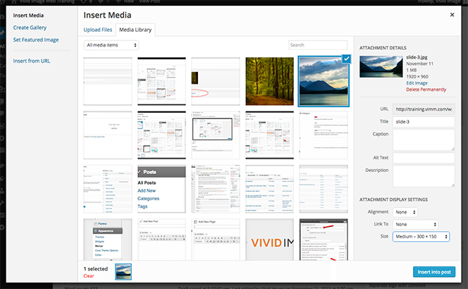 media-library-entire-screen
