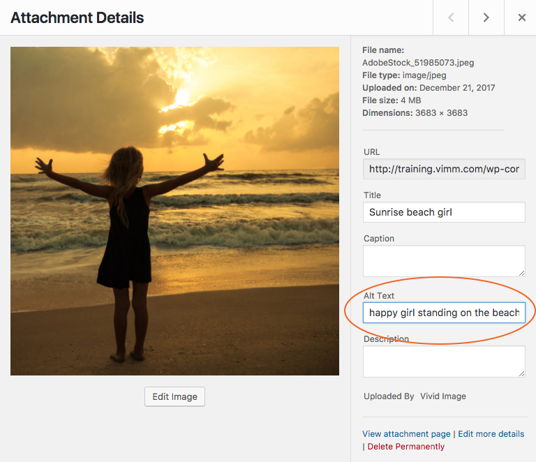 add alt text when adding an image to a page or post
